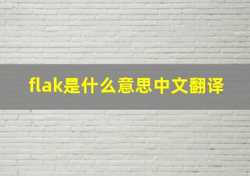 flak是什么意思中文翻译