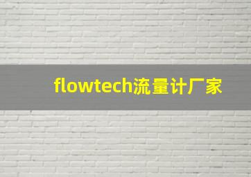 flowtech流量计厂家