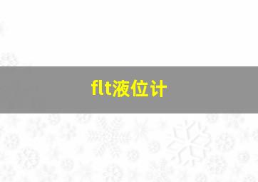 flt液位计