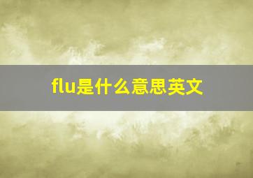 flu是什么意思英文