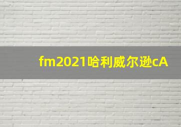 fm2021哈利威尔逊cA