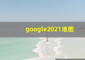 google2021地图