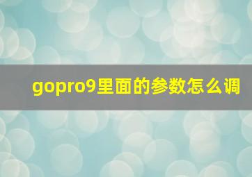 gopro9里面的参数怎么调