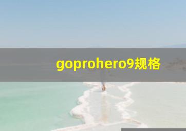 goprohero9规格