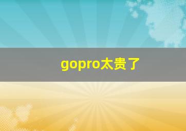 gopro太贵了