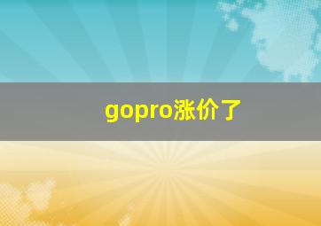 gopro涨价了