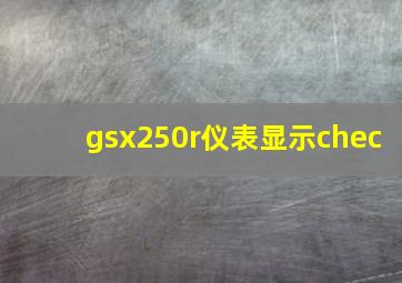 gsx250r仪表显示chec