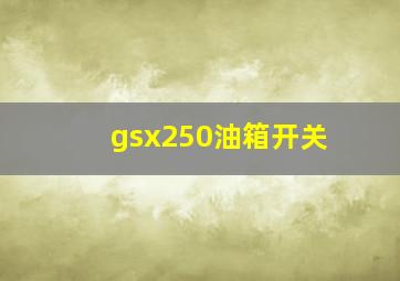 gsx250油箱开关