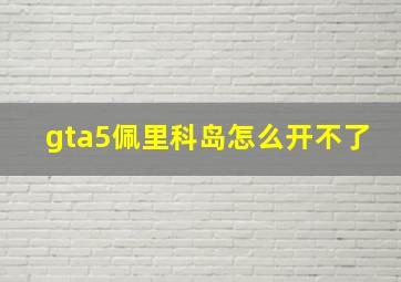 gta5佩里科岛怎么开不了