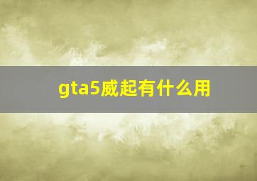 gta5威起有什么用