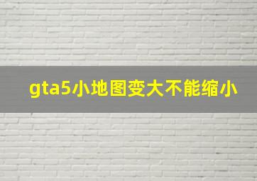 gta5小地图变大不能缩小