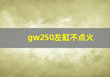 gw250左缸不点火