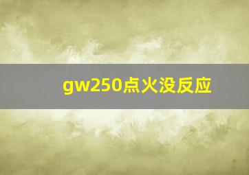 gw250点火没反应