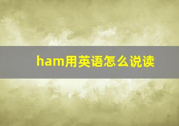 ham用英语怎么说读