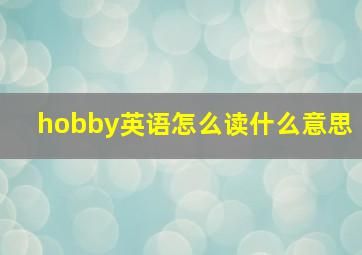 hobby英语怎么读什么意思