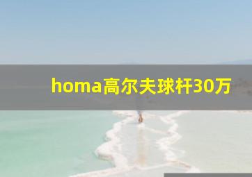 homa高尔夫球杆30万