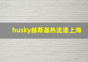 husky赫斯基热流道上海