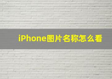 iPhone图片名称怎么看