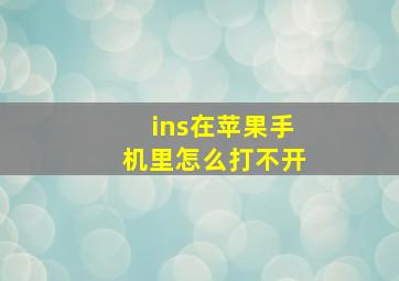 ins在苹果手机里怎么打不开