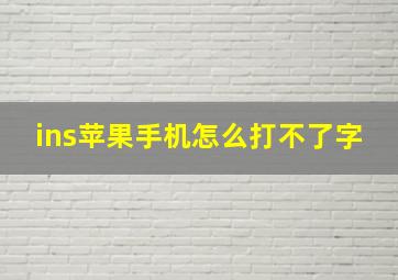 ins苹果手机怎么打不了字