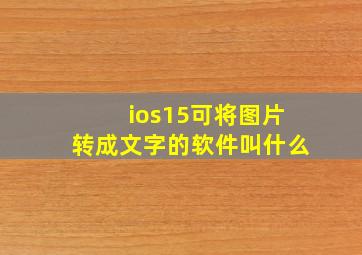 ios15可将图片转成文字的软件叫什么