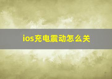 ios充电震动怎么关