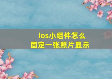 ios小组件怎么固定一张照片显示