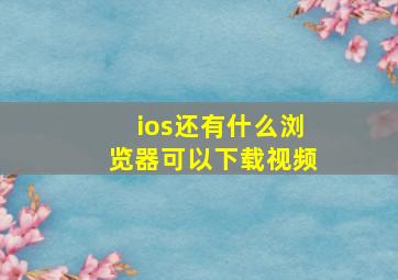 ios还有什么浏览器可以下载视频