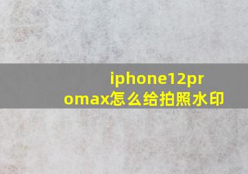 iphone12promax怎么给拍照水印