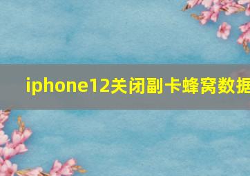 iphone12关闭副卡蜂窝数据