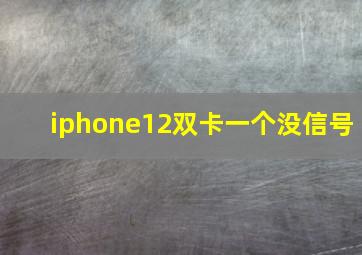 iphone12双卡一个没信号