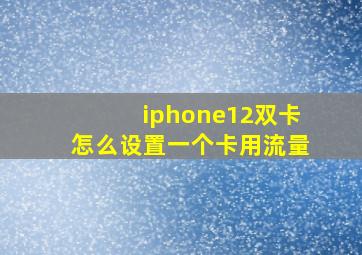 iphone12双卡怎么设置一个卡用流量