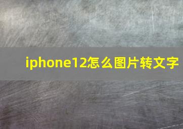 iphone12怎么图片转文字