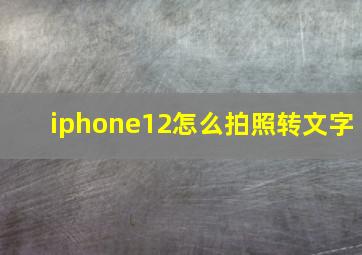 iphone12怎么拍照转文字