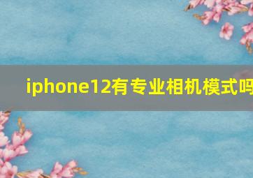 iphone12有专业相机模式吗