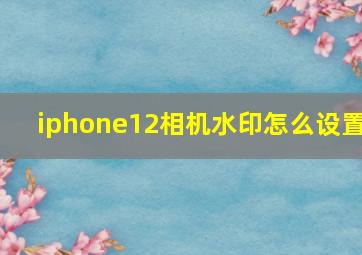 iphone12相机水印怎么设置