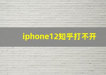 iphone12知乎打不开