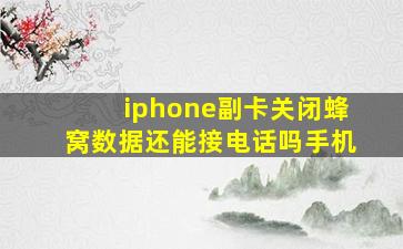 iphone副卡关闭蜂窝数据还能接电话吗手机