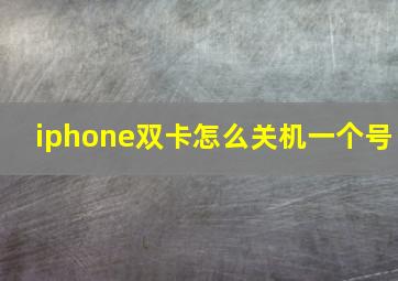 iphone双卡怎么关机一个号