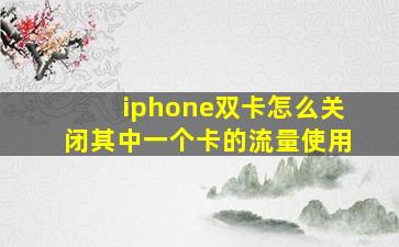 iphone双卡怎么关闭其中一个卡的流量使用