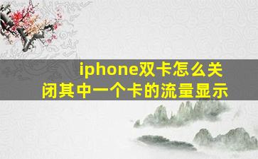 iphone双卡怎么关闭其中一个卡的流量显示