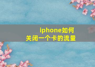 iphone如何关闭一个卡的流量