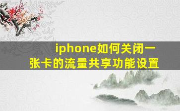 iphone如何关闭一张卡的流量共享功能设置