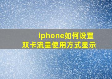 iphone如何设置双卡流量使用方式显示