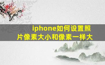 iphone如何设置照片像素大小和像素一样大