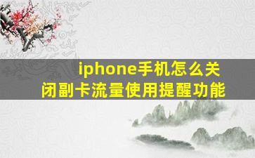 iphone手机怎么关闭副卡流量使用提醒功能