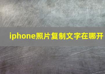 iphone照片复制文字在哪开