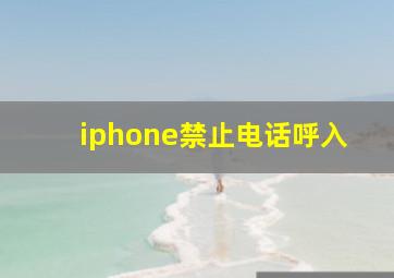 iphone禁止电话呼入