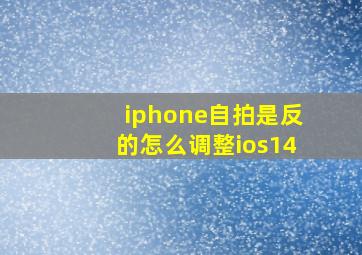 iphone自拍是反的怎么调整ios14