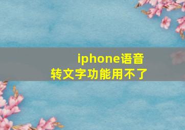 iphone语音转文字功能用不了